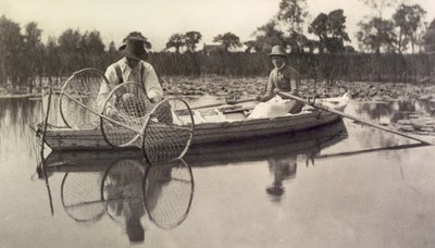 Colocando la Red de Arco, Vida y Paisaje en los Broads de Norfolk; c.1886 de Peter Emerson und Thomas Goodall